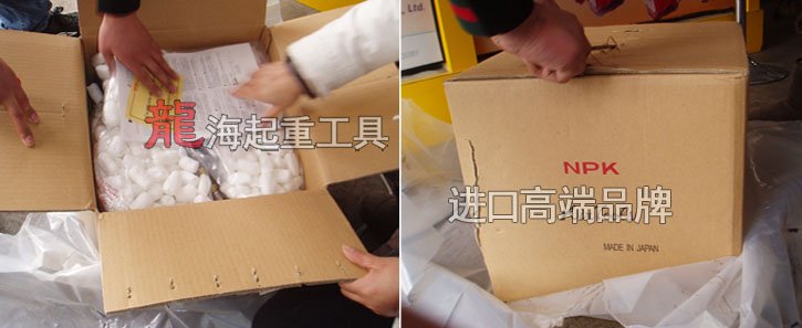 RHL-500p氣動葫蘆包裝圖片 RHL-500p氣動葫蘆包裝圖片